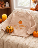 Halloween Embroidered kids name sweater
