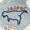 Hand-knit Dinosaur sweater with name
