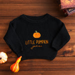Halloween Embroidered kids name sweater B